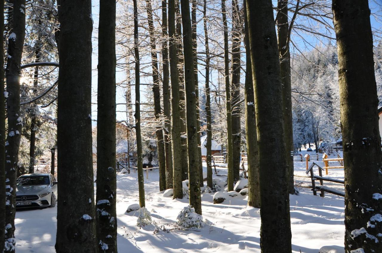 Gosciniec Kuznice Zakopane Exterior photo